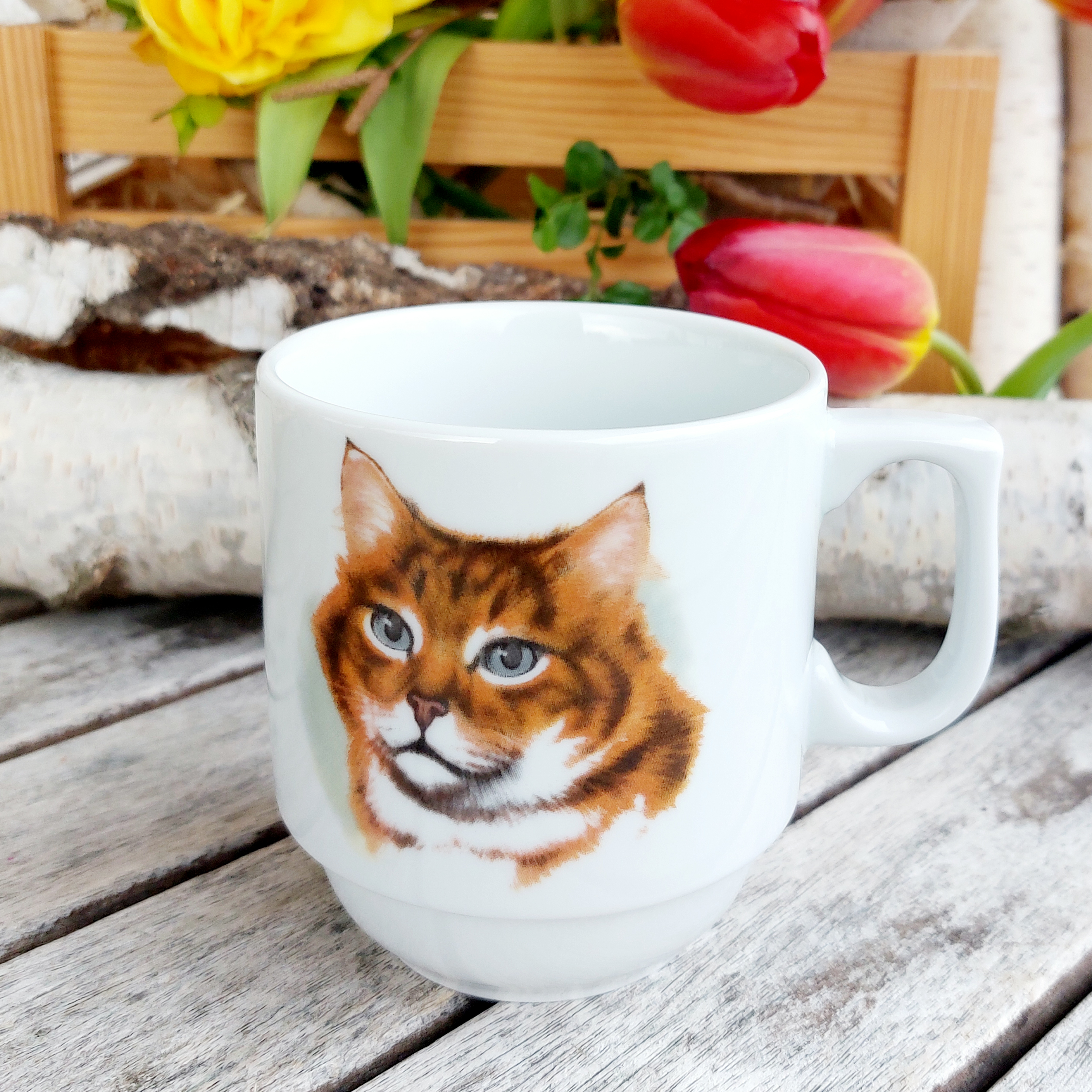 HUGO hrnek 270 ml, zrzavá kočka, Český porcelán Dubí