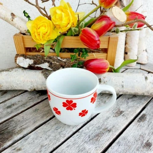 MARIO hrnek 330 ml, červené čtyřlístky, Český porcelán Dubí