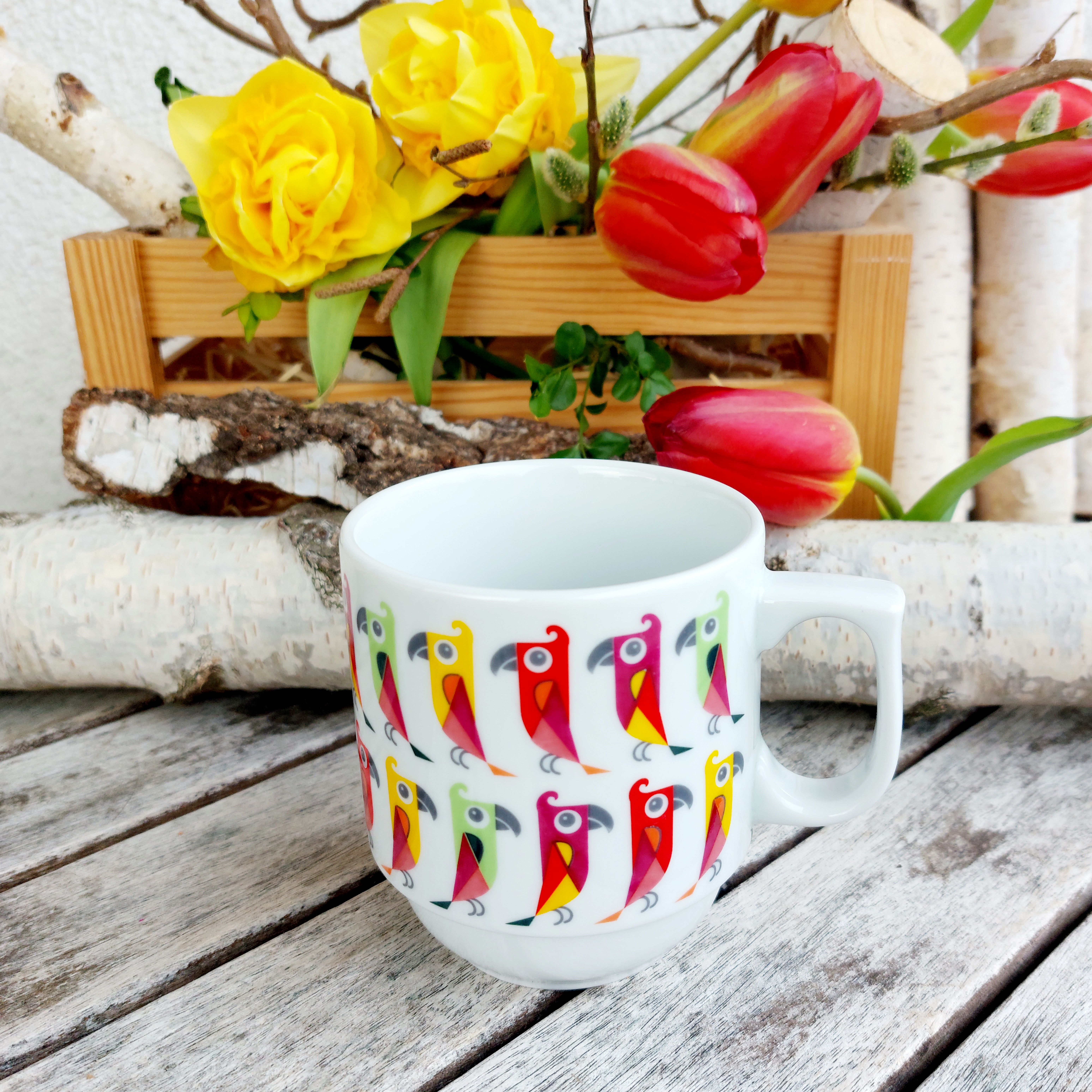 HUGO hrnek 270 ml, papoušci, Český porcelán Dubí