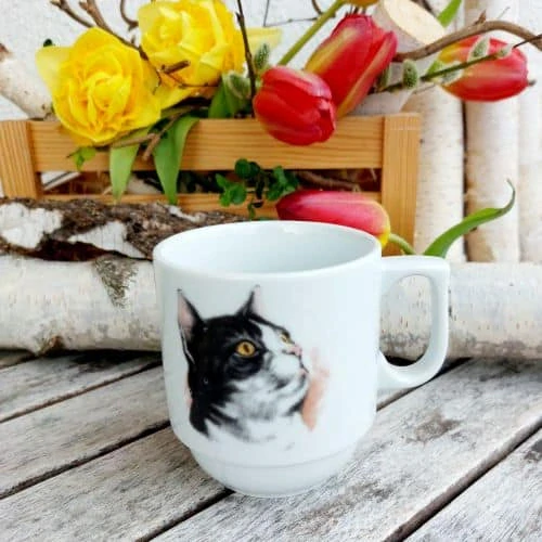 HUGO hrnek 270 ml, černobílá kočka, Český porcelán Dubí
