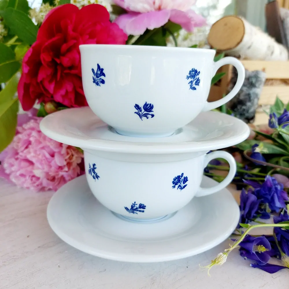 FLOWERS šálek s podšálkem 240 ml, modré kytičky, Thun 1794modré 