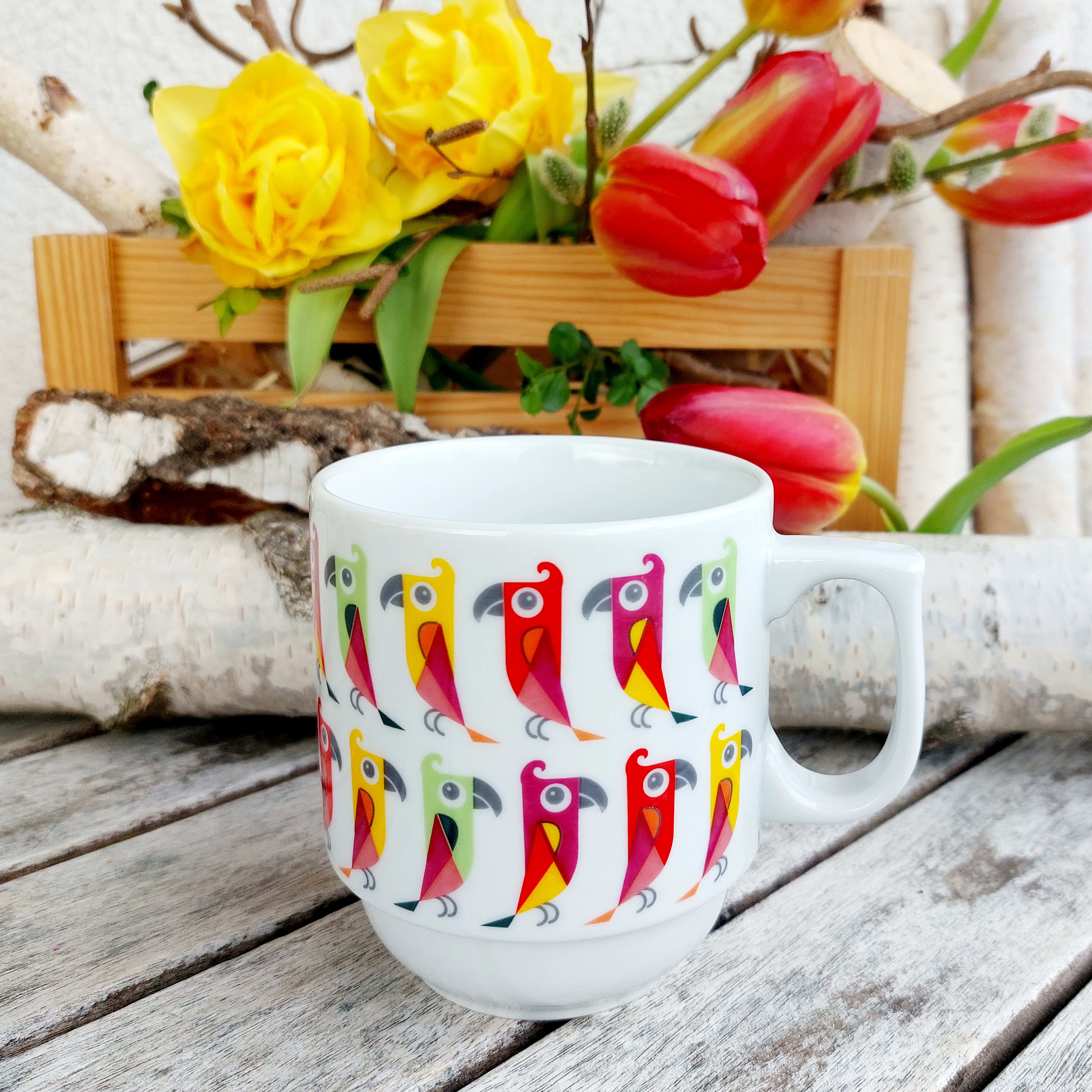 HUGO hrnek 270 ml, papoušci, Český porcelán Dubí