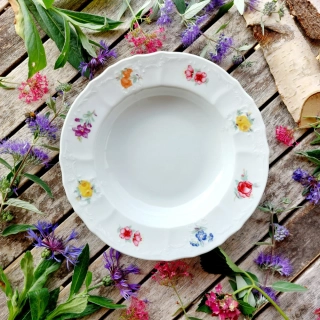 BERNADOTTE talíř hluboký 23 cm, barevná házenka, Thun 1794