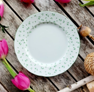 NATALIE talíř dezertní 19 cm, zelené lístečky, Thun 1794