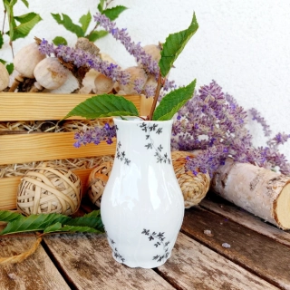 BERNADOTTE váza 11,5 cm, černé větvičky, Thun 1794